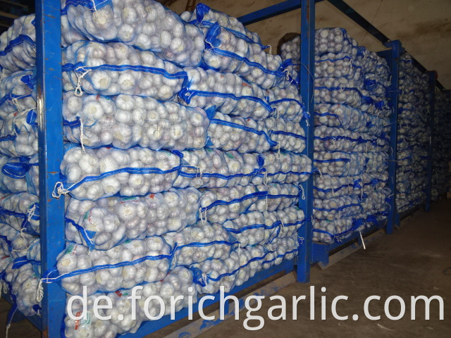 Normal White Garlic Fresh Size 5 0